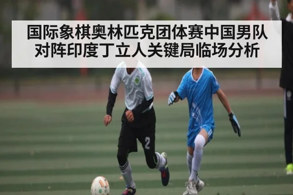 国际象棋奥林匹克团体赛中国男队对阵印度丁立人关键局临场分析 - YIWAN28