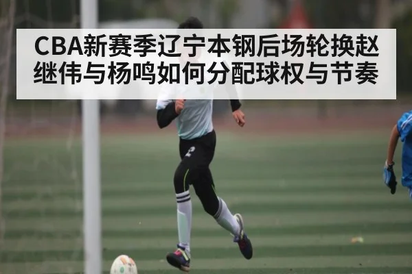 CBA新赛季辽宁本钢后场轮换赵继伟与杨鸣如何分配球权与节奏（YIWAN28）